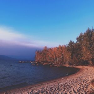 Meet your Posher, Kinlee